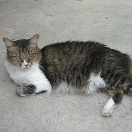 D 66dacb46 54d2 461f aefc bef982f79cc8