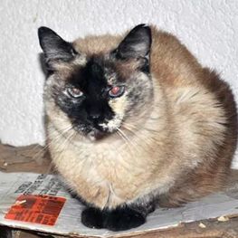 D 13ce206c 3da6 433c a550 179f4003f27d