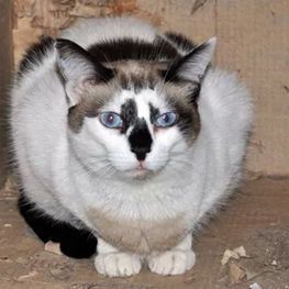 D adaf6e30 9fb0 4026 b776 aedd5dd20960