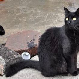 D 807ef009 d6ad 4336 9809 565a56879893