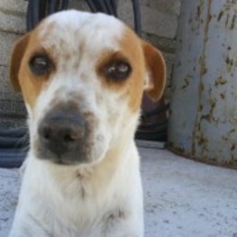 D 5304c335 ca76 4db7 a0f0 40cc61ea4632