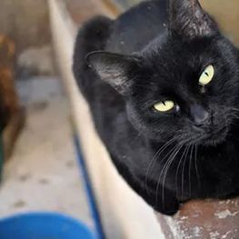 D 49c4f9d1 12c6 4704 88f4 92311d6b6765