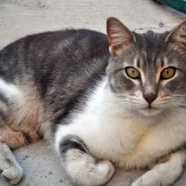 D 141bc8fd b0aa 406f b5c8 c1aeebf23b30