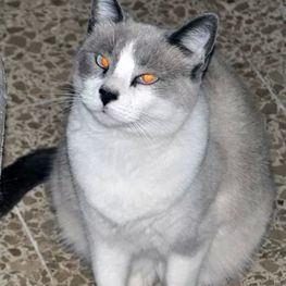 D 05b52b13 5e2a 435b bdde acbf7ed56187