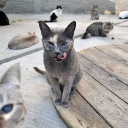 D 170bf725 013c 4c8b a844 ca484441847f