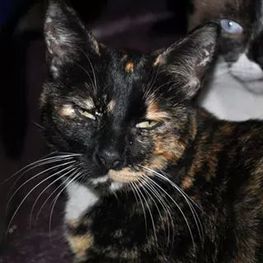 D 039b5edb 364b 429e 840c c2c07025cbec