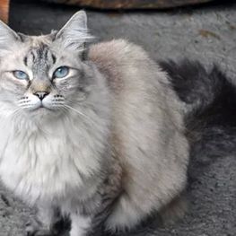 D 42bfb28d 674e 4485 b1cb 35ddaffc61f1