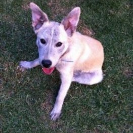 D e4acbc65 f841 4b02 977f 6dc14d1cda92