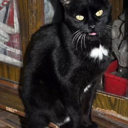 D 7c362c37 a448 47e3 bbf5 36dea756ef90