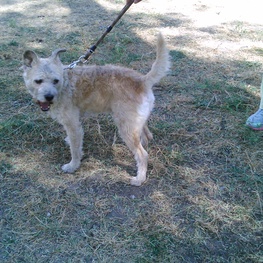 D 2a35b7c0 de6d 41d7 aeba 5ae353b30fa4