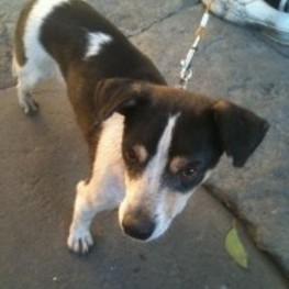 D 80ad1a80 7429 41cc 9270 2fad37a35c15