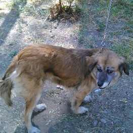 D a4998f25 02c6 44ce 91ee 982deb81fdfe