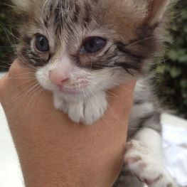 D 8648c716 16e2 4811 bd49 3f810c1f24e7