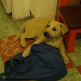 D 315f56f7 0eae 445c becc 9cdb70132020