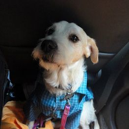 D 13e767f1 f28b 4cd2 954c e097fb6e97a7