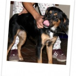 D 3b77ee43 95bf 4b9e 9f4c d91db1c26283