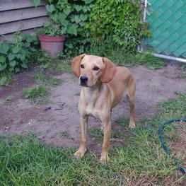 D 0f280649 ab16 4305 b82b f014e25e12b8