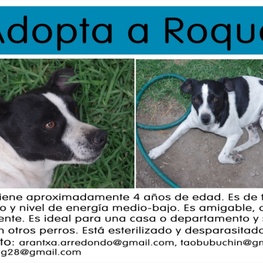 D cfefa57c e3b9 4da4 b19f 23e0d2d345da