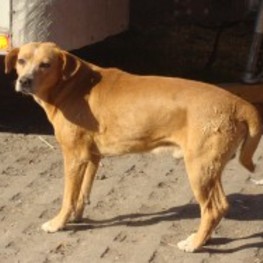 D 04bf6354 056f 4298 a7ea fcce76e4d0cb