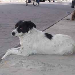 D 534b5438 6ca5 4625 80e3 99fbb9a2ddef