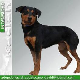 D 89e196e1 3392 4c7c bc4a 0ce22a85c20a