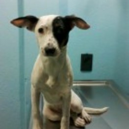 D 7020977f 7267 432c 9f2b 946282d06f9d