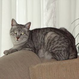 D 8b8c19c2 16ed 487c 883f b3671a66ccdc