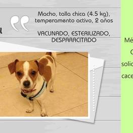 D 3494452b 1034 46da 815b b7d7861072e9