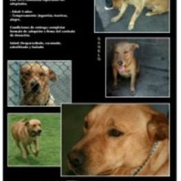 D e1c67ace 0671 47d3 aa17 f7dacc61f24c