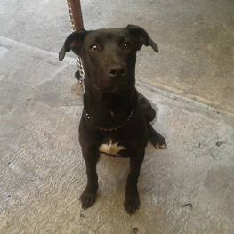 D 22fa60ed 917f 4f7e b0de 2142506b20f2