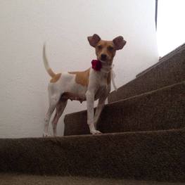 D 215c9277 1d71 4fc6 b7e1 d48135e66aef