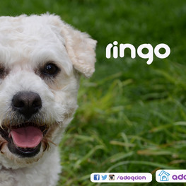 D e8d46333 d813 43bf bae5 a2e3af0982f3