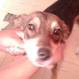 D d55a8e00 68a9 40ad 8796 b10b88e11763