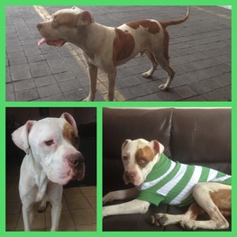 D 4a49a86b 152f 46a9 9cbb 65ad59f639da