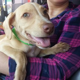 D 3ac66583 4cec 428b ba6e 0e744c32f8fa