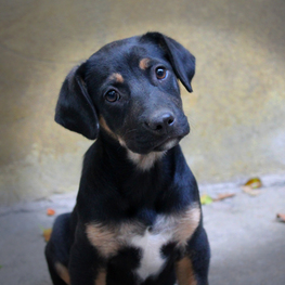 D 368ccae5 86c7 4422 9bdd 5172aa22e67a