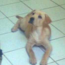 D d7d123ac 8a3b 4787 8ef7 81b125d276f0