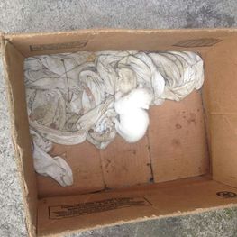 D 94771451 1294 4707 8a0b f16f74aa79e2