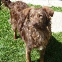 D 36598418 a800 46f2 8570 c788c29984e4