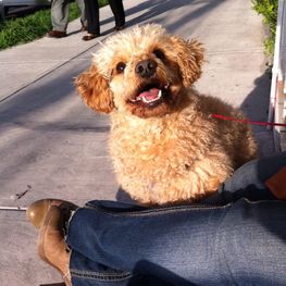 D 008d5913 5a05 4f3a 91a8 43117ca16cec