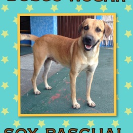 D 339a8e39 9c07 4071 9b4e e76367c52a5e