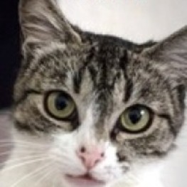 D e8c7b510 d1cd 4780 9975 2a546daf983c