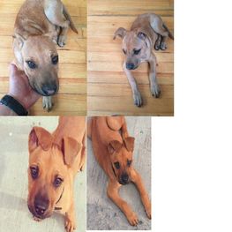 D c0659add f052 4ff6 8b6c 921c9a6b42a4