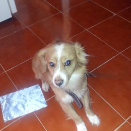 D a7bc4ae8 3726 4560 aceb 872696ddd02e