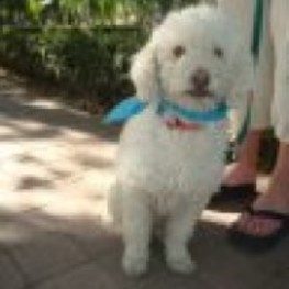 D 2e785dc0 1e76 4c60 a68a b09c426f5d72