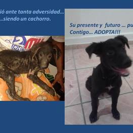 D 86203e42 8078 433d 8fe1 0844480761d2