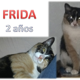 D 689544a1 9fd1 49af 9fea 6601afcd9b64