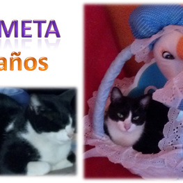 D d7db563a 05f4 47f9 ba9a c5761fa020d3