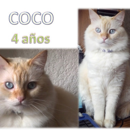 D 9cfab76e 4424 4760 a375 c15c73baa7c8