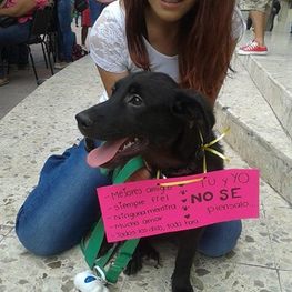 D 1468c802 3b0c 44f0 9bb0 e896f06d1464